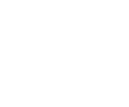 Evolution games at Bituptoken Casino